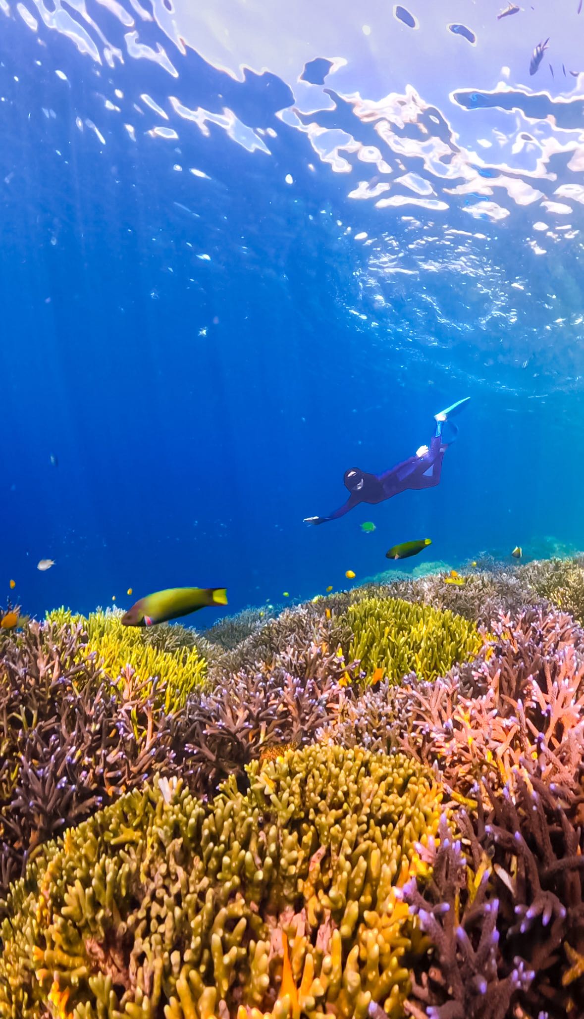 Fascinating South Gilis