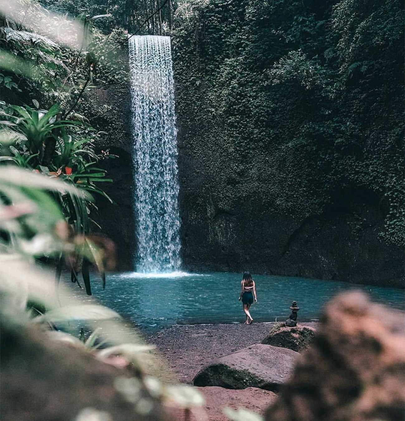 Ubud water fall private day tour