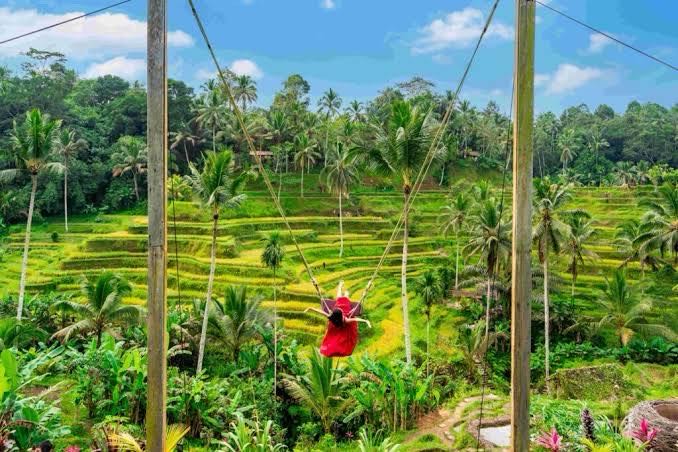 ubud tour