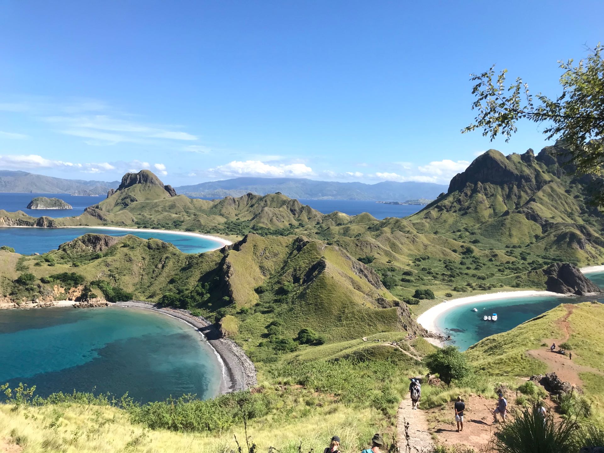 Fullday Komodo Tour by Fast Boat