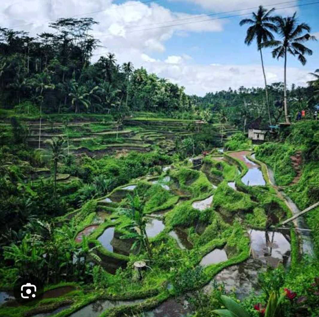 ubud tour